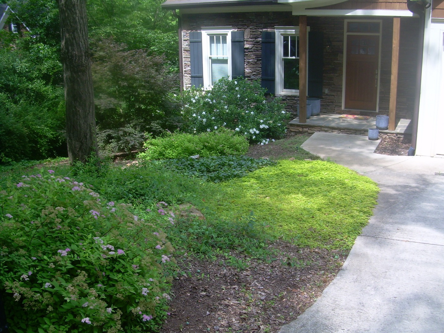Woodland planting layered beside a shaded home entry
