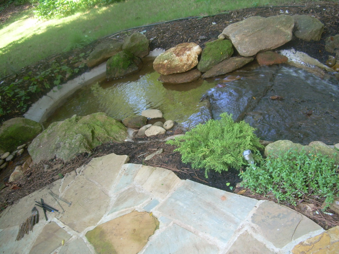 A pond tucked beside a flagstone terrace and evergreen planting